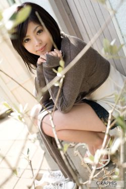 美国派6