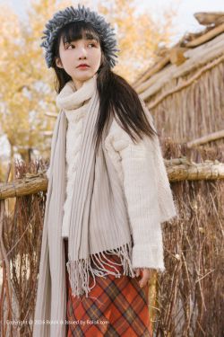 完美世界 小说