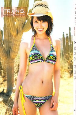 廉政行动2011 电视剧